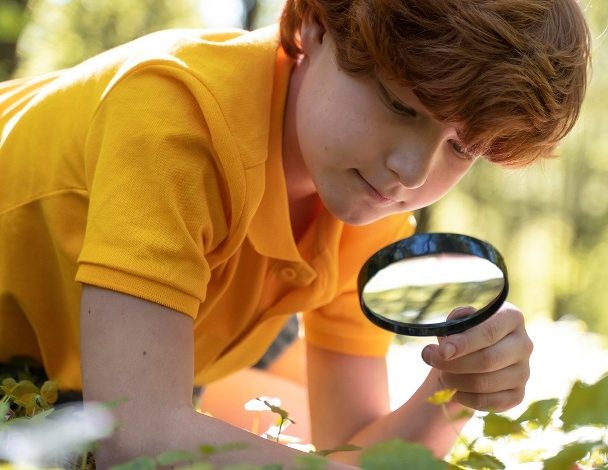 کارشناس استعدادیابی کودک تهران پارس